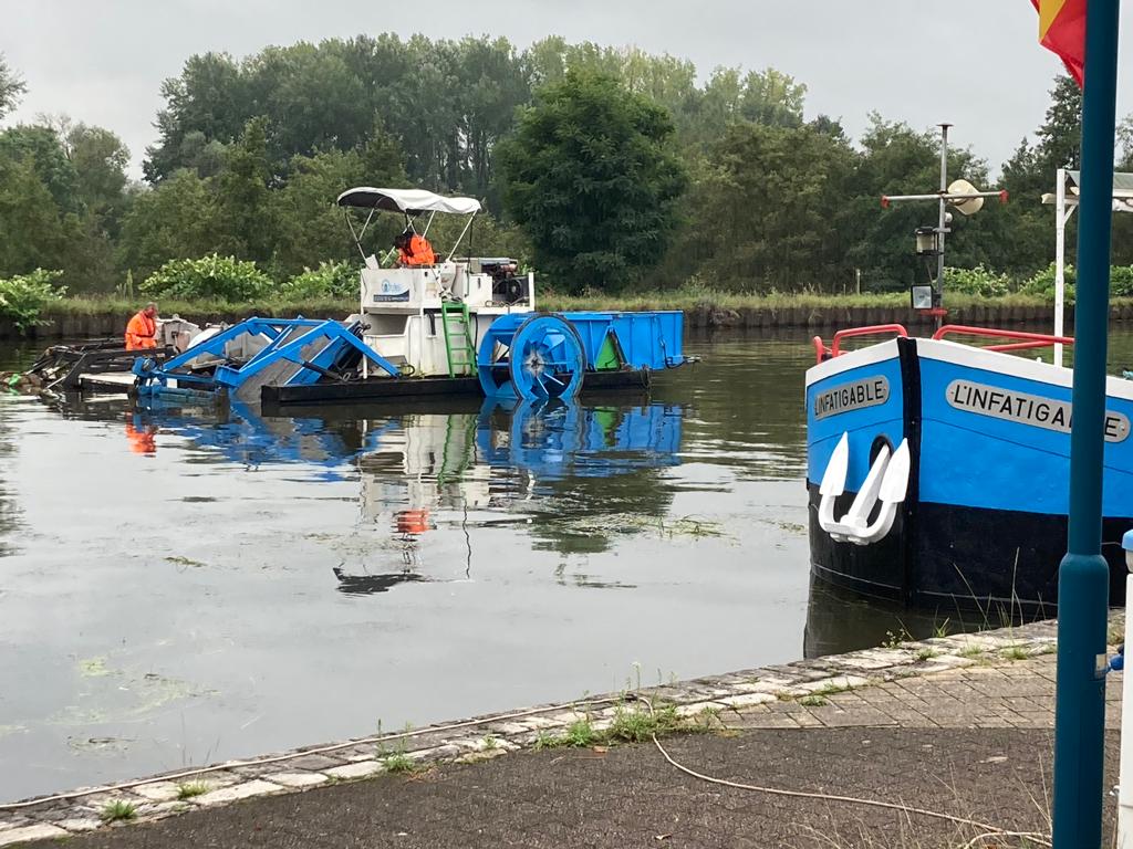 Faucardage  sur le port de Briennon