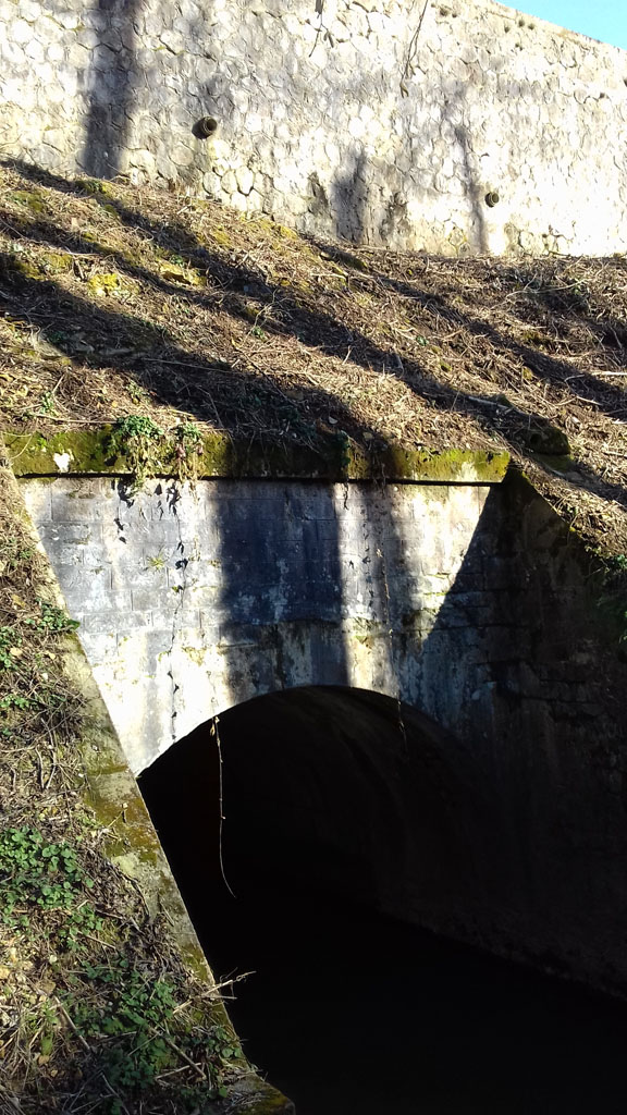 la cuvette des Brenonds